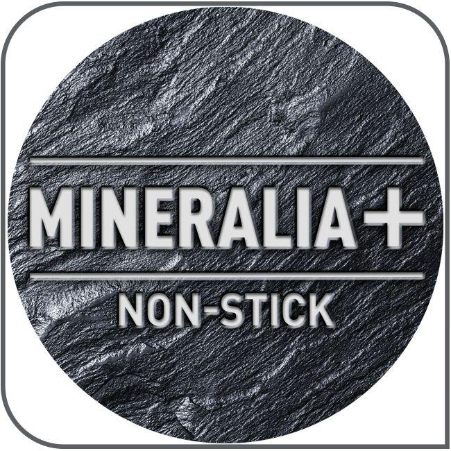 Nuovo rivestimento Mineralia+